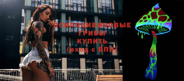 COCAINE Каменка