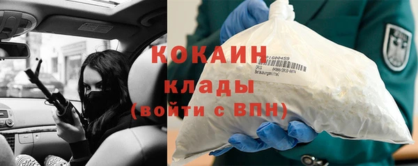 индика Каменск-Шахтинский