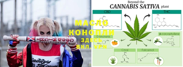 СК Каменногорск