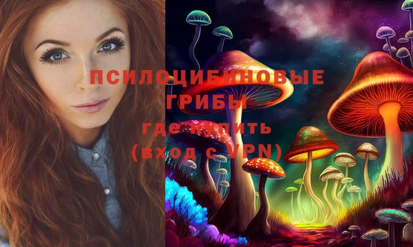 COCAINE Каменка