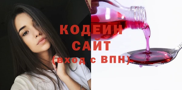 индика Каменск-Шахтинский