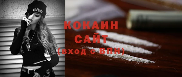 индика Каменск-Шахтинский