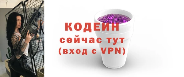 индика Каменск-Шахтинский