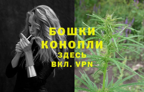 СК Каменногорск
