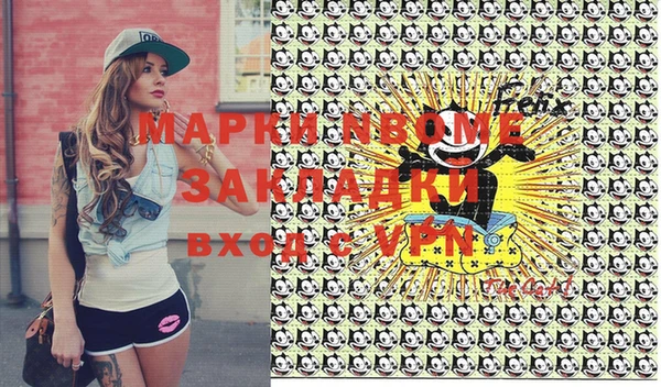 индика Каменск-Шахтинский