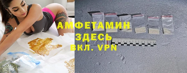 индика Каменск-Шахтинский