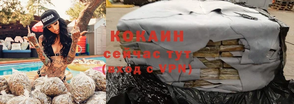 индика Каменск-Шахтинский